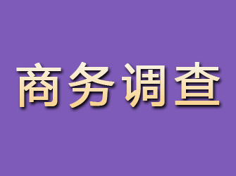 新安商务调查